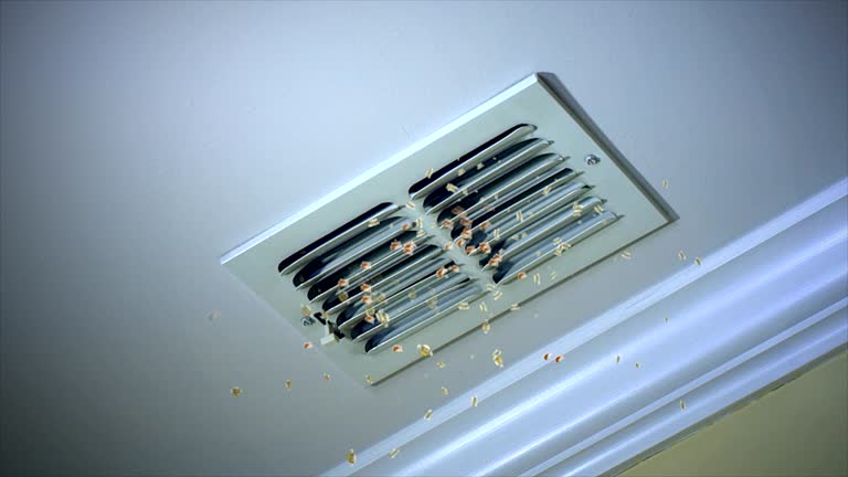 Best Affordable Air Duct Cleaning  in Fort Thompson, SD
